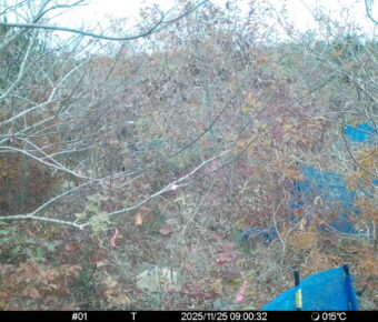 Nov 25 2025  9:00:32, #01