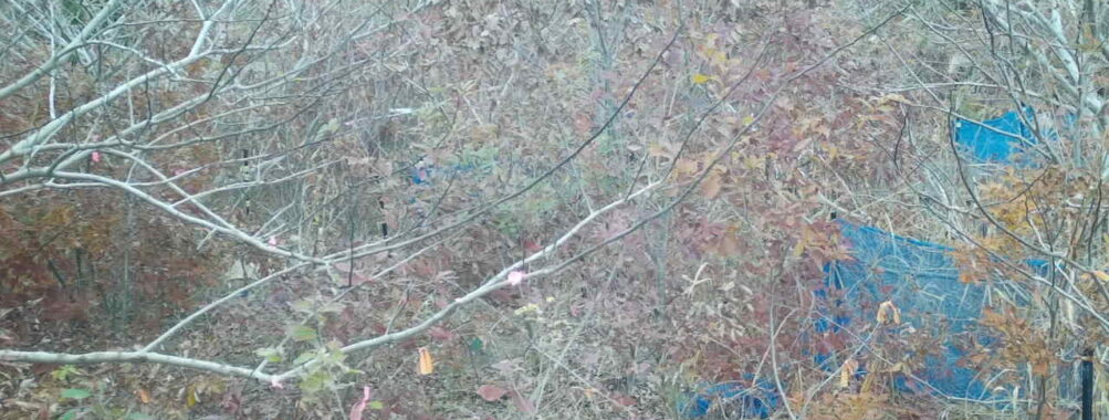 Nov 25 2025 12:00:31, #01