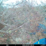 Nov 25 2025 12:00:31, #01