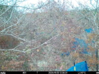 Nov 25 2025 12:00:31, #01