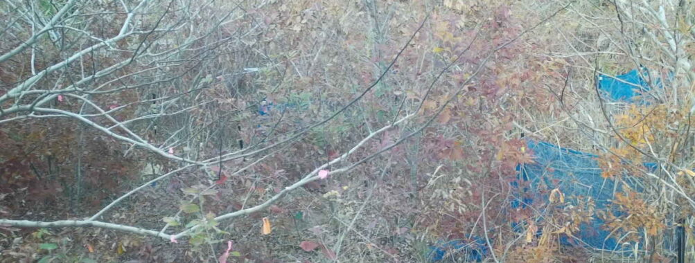 Nov 25 2025 15:00:31, #01