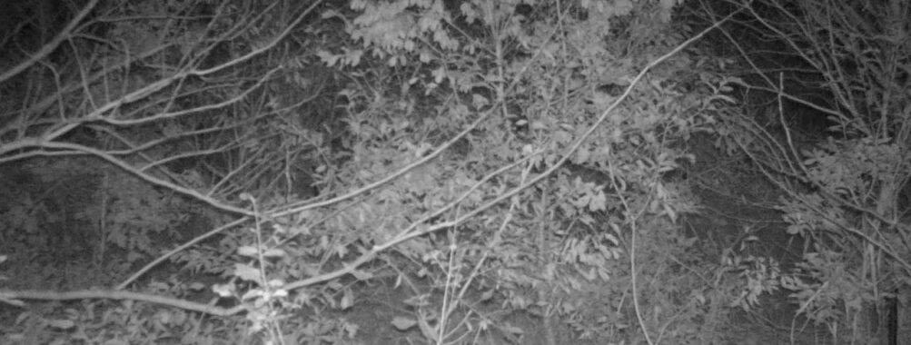 Nov 25 2025 18:00:30, #01