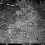 Nov 25 2025 18:00:30, #01