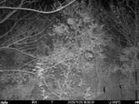 Nov 25 2025 18:00:30, #01