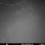 Nov 25 2025 21:00:32, #01