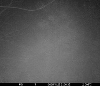 Nov 25 2025 21:00:32, #01