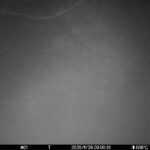 Nov 26 2025  0:00:31, #01