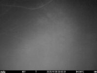 Nov 26 2025  0:00:31, #01