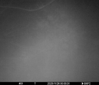 Nov 26 2025  0:00:31, #01