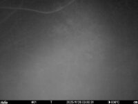 Nov 26 2025  3:00:30, #01