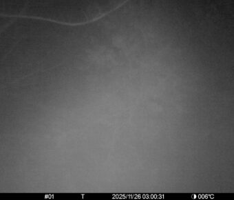 Nov 26 2025  3:00:30, #01