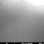 Nov 26 2025  6:00:32, #01