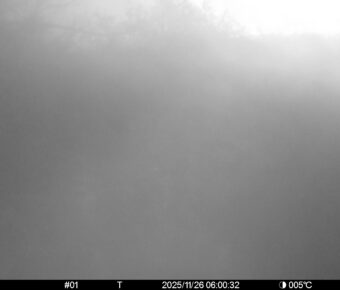 Nov 26 2025  6:00:32, #01