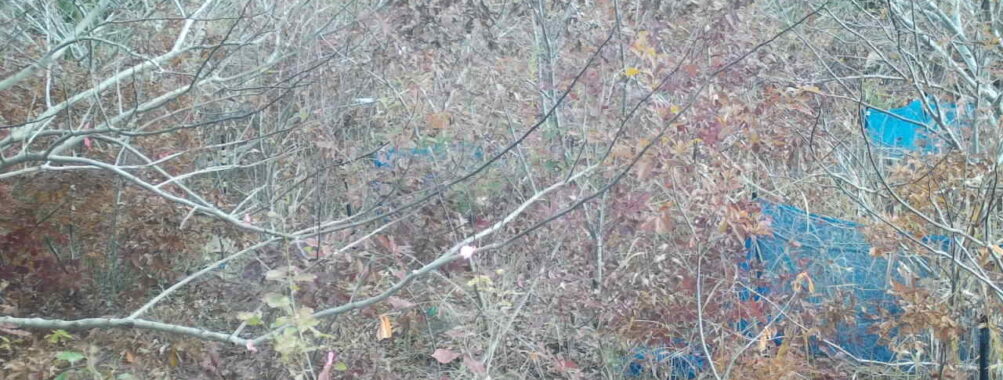 Nov 26 2025  9:00:31, #01