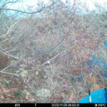 Nov 26 2025  9:00:31, #01