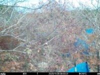 Nov 26 2025  9:00:31, #01