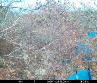 Nov 26 2025  9:00:31, #01