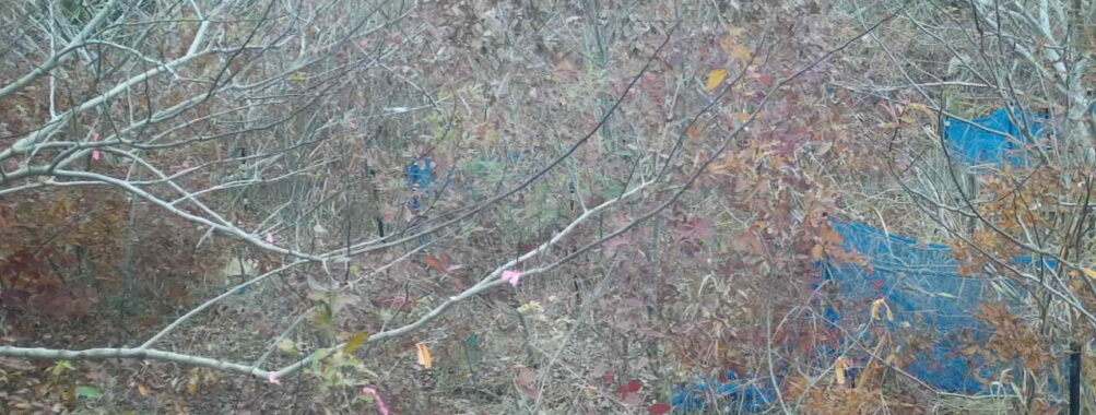 Nov 26 2025 12:00:30, #01