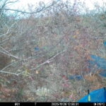 Nov 26 2025 12:00:30, #01