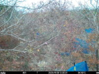 Nov 26 2025 12:00:30, #01