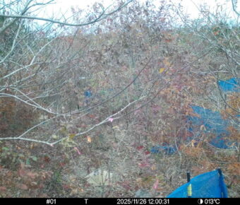 Nov 26 2025 12:00:30, #01