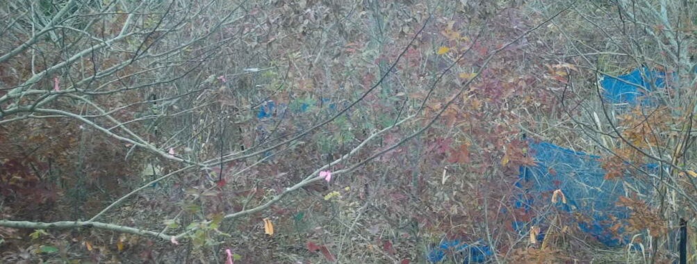 Nov 26 2025 15:00:32, #01