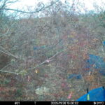 Nov 26 2025 15:00:32, #01