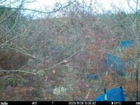 Nov 26 2025 15:00:32, #01