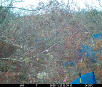 Nov 26 2025 15:00:32, #01