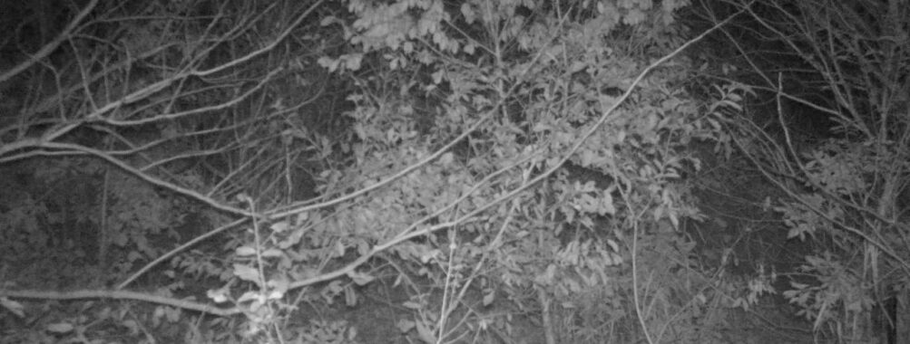 Nov 26 2025 18:00:30, #01