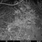 Nov 26 2025 18:00:30, #01