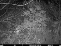 Nov 26 2025 18:00:30, #01