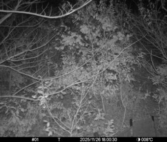 Nov 26 2025 18:00:30, #01