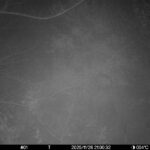 Nov 26 2025 21:00:32, #01