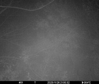 Nov 26 2025 21:00:32, #01