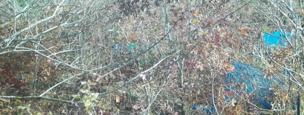 Nov 27 2025  9:00:31, #01