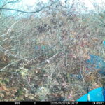 Nov 27 2025  9:00:31, #01