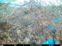 Nov 27 2025  9:00:31, #01