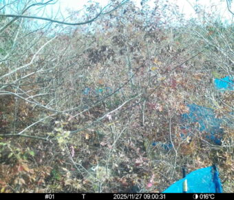 Nov 27 2025  9:00:31, #01