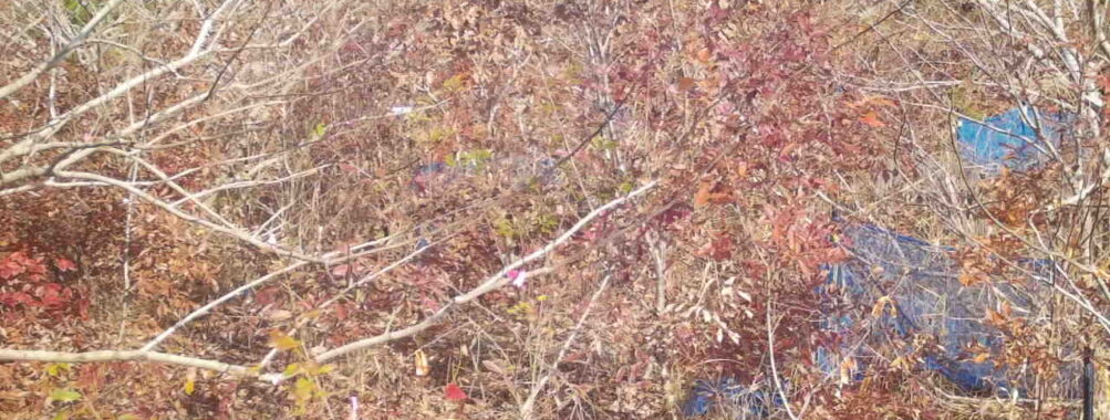 Nov 27 2025 12:00:32, #01