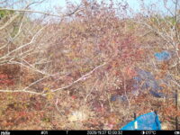 Nov 27 2025 12:00:32, #01