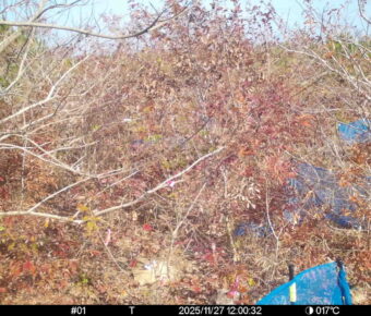 Nov 27 2025 12:00:32, #01