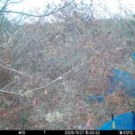 Nov 27 2025 15:00:32, #01