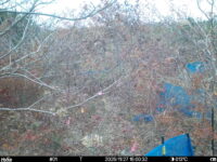 Nov 27 2025 15:00:32, #01