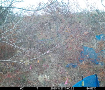 Nov 27 2025 15:00:32, #01