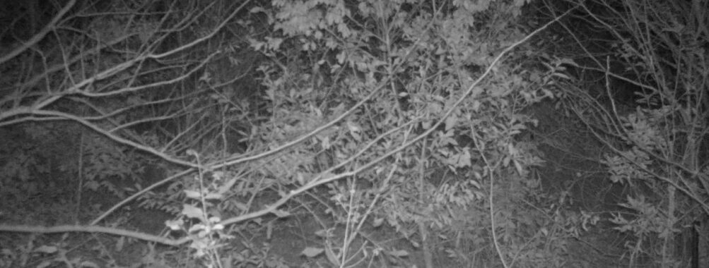 Nov 27 2025 18:00:31, #01