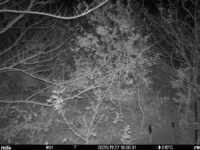 Nov 27 2025 18:00:31, #01