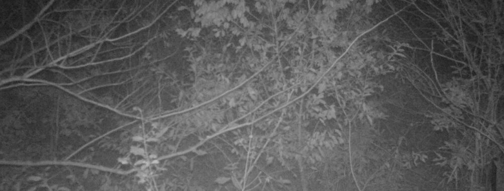 Nov 28 2025  0:00:31, #01