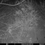 Nov 28 2025  0:00:31, #01