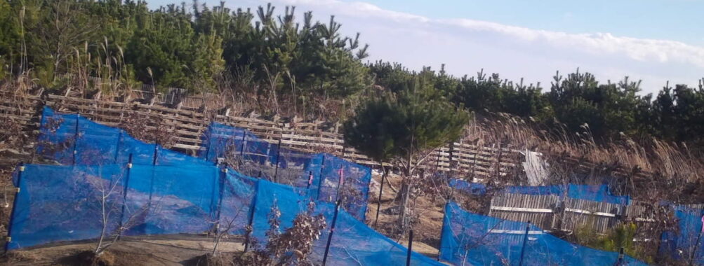 Dec 30 2025 13:11:53, #01